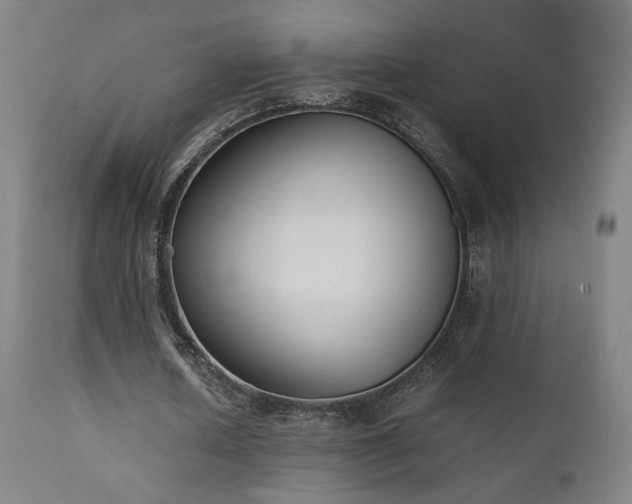 X0000111650626200907171546