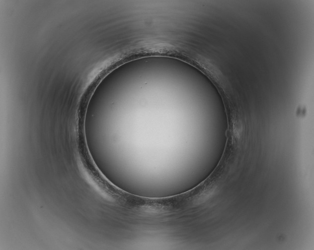 X0000111650630200907171546
