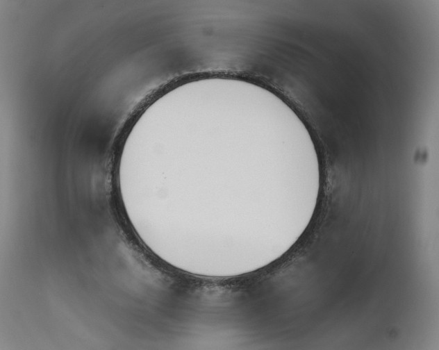 X0000111650632200907171546