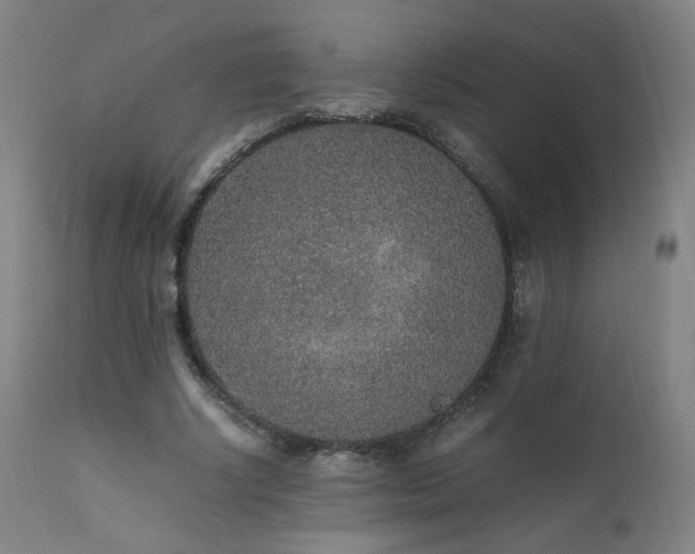 X0000111650634200907171546