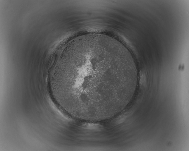 X0000111650637200907171546