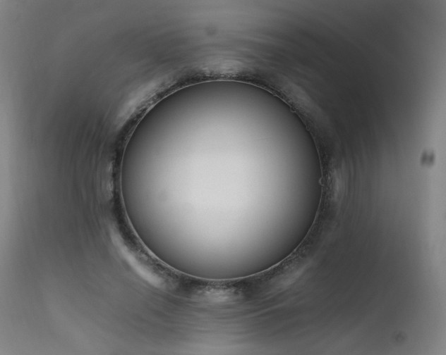 X0000111650638200907171546