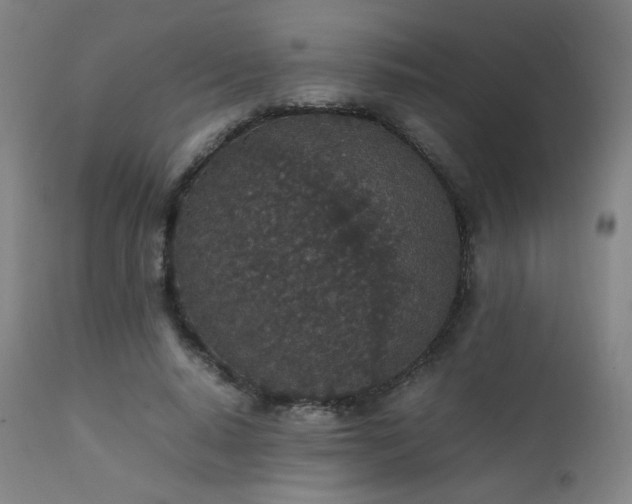 X0000111650640200907171546