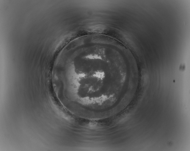 X0000111650641200907171546