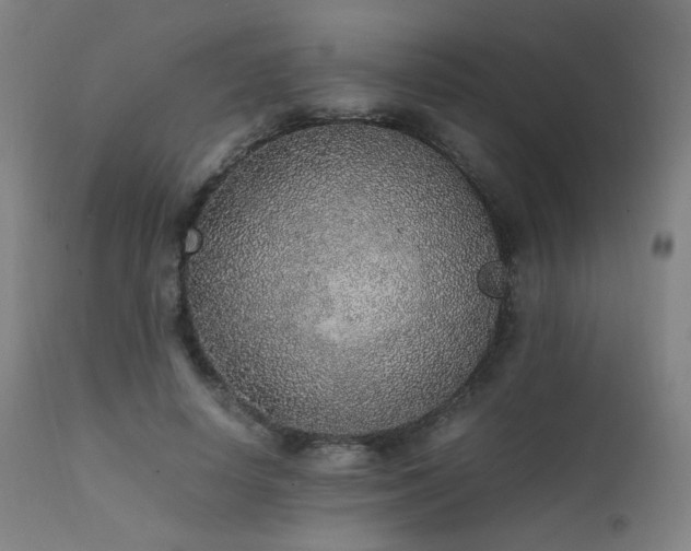 X0000111650642200907171546