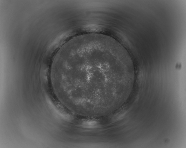 X0000111650643200907171546