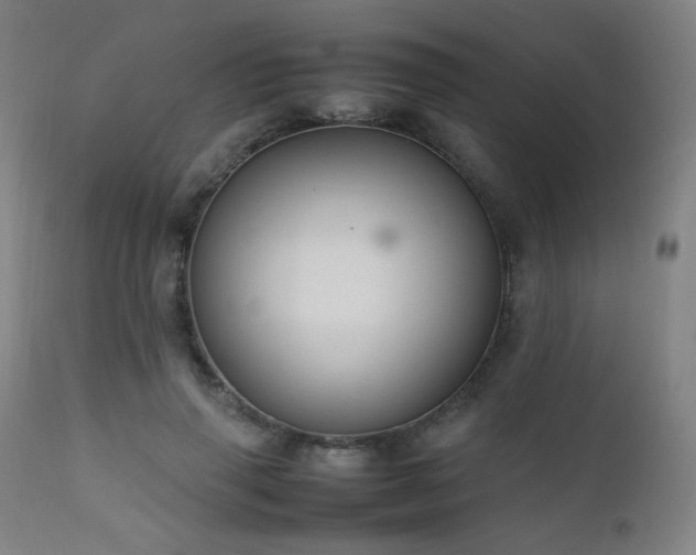 X0000111650645200907171546