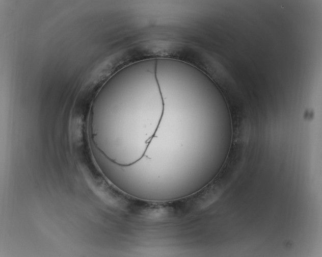 X0000111650646200907171546