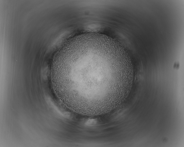 X0000111650647200907171546
