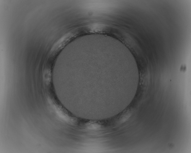 X0000111650648200907171546