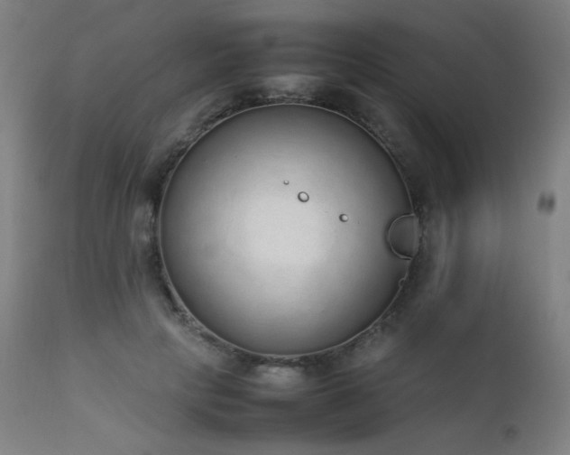 X0000111650649200907171546