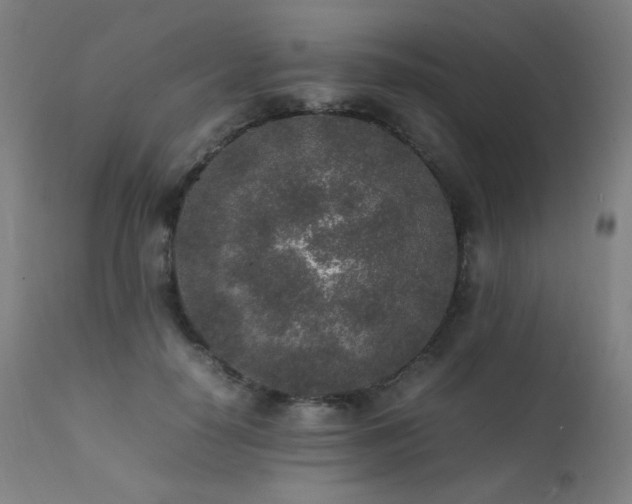 X0000111650650200907171546