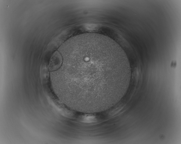 X0000111650651200907171546
