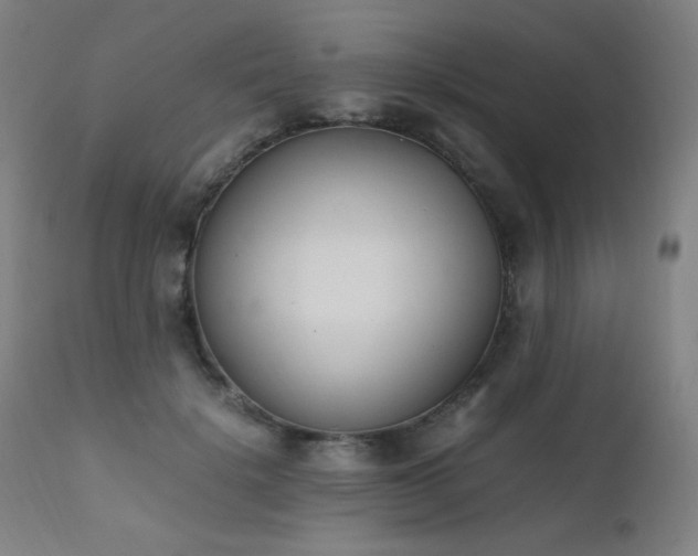 X0000111650652200907171546