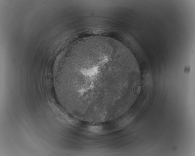 X0000111650653200907171546