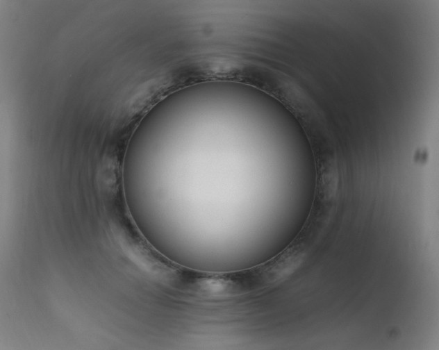 X0000111650654200907171546