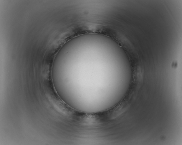 X0000111650656200907171546