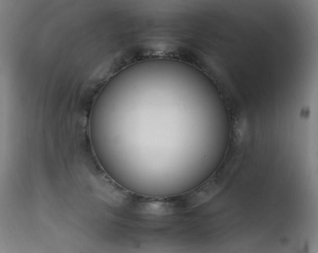 X0000111650657200907171546