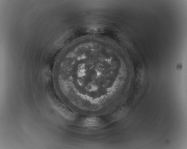 X0000111650659200907171546
