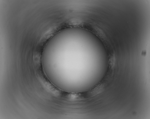 X0000111650662200907171546