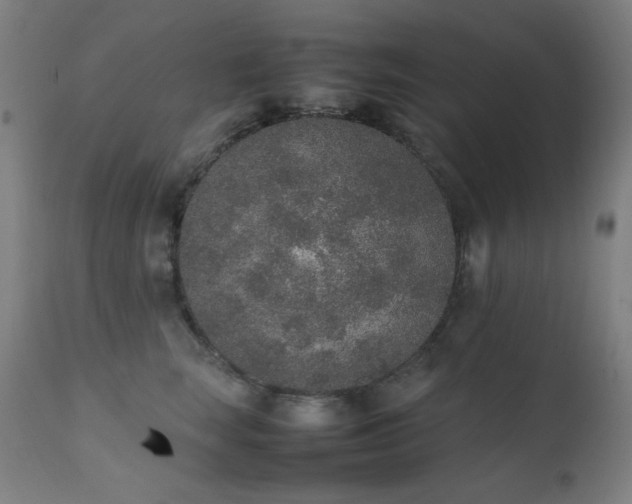 X0000111650663200907171546