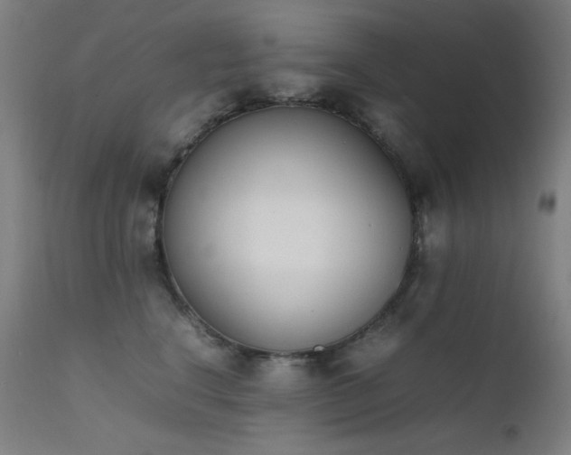 X0000111650664200907171546