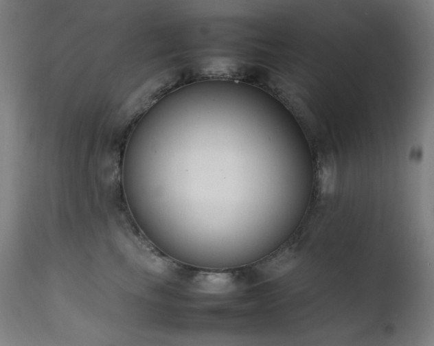 X0000111650665200907171546