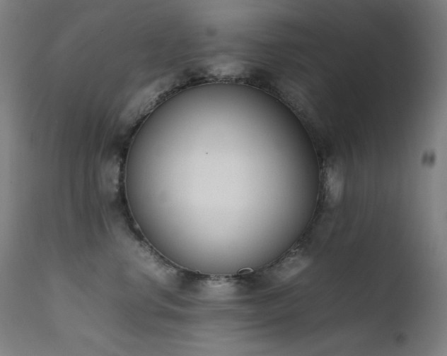X0000111650668200907171547