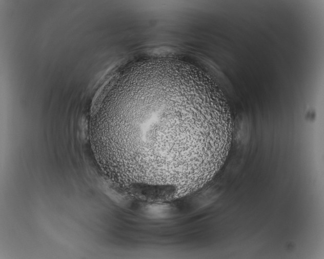 X0000111650669200907171547