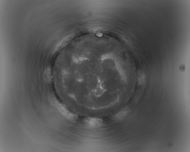 X0000111650670200907171547