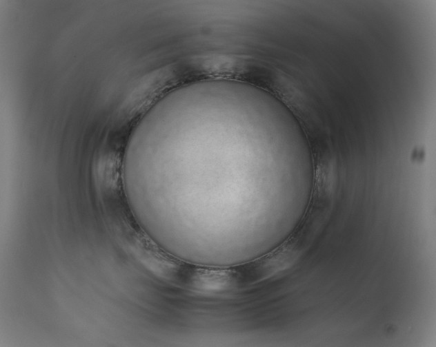 X0000111650671200907171547