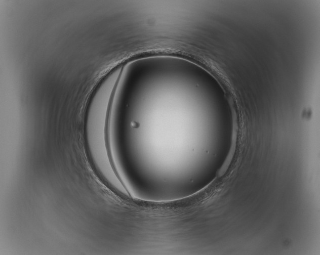 X0000111650673200907171546