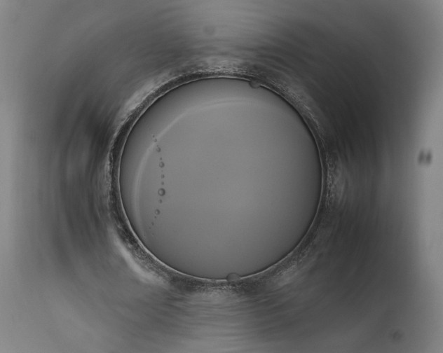 X0000111650674200907171546