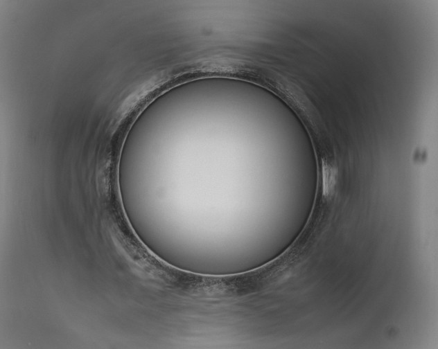 X0000111650675200907171546