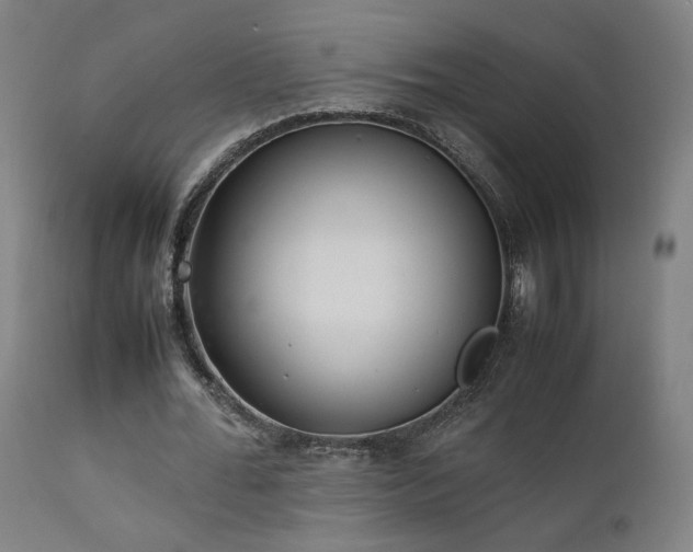 X0000111650676200907171546