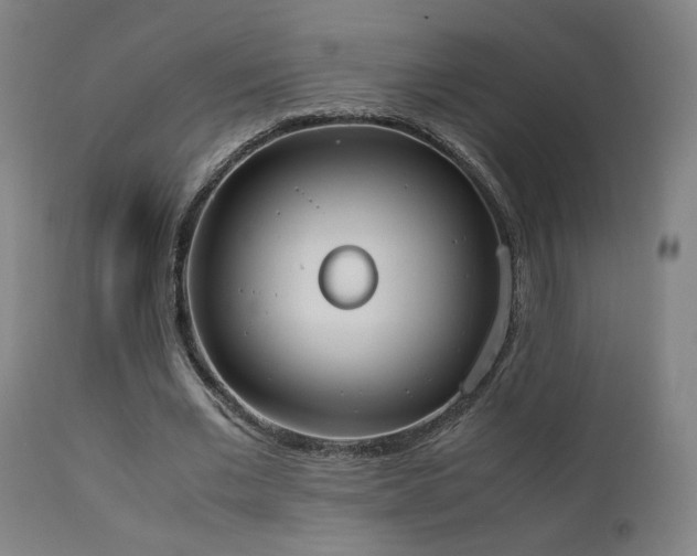 X0000111650677200907171546