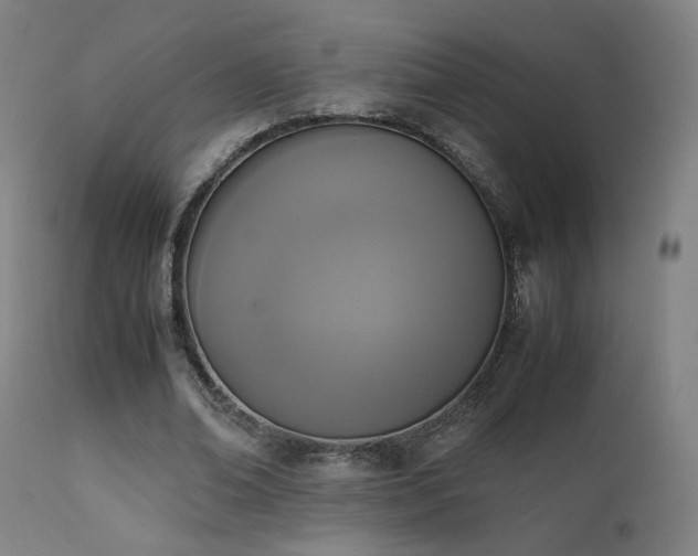 X0000111650678200907171546