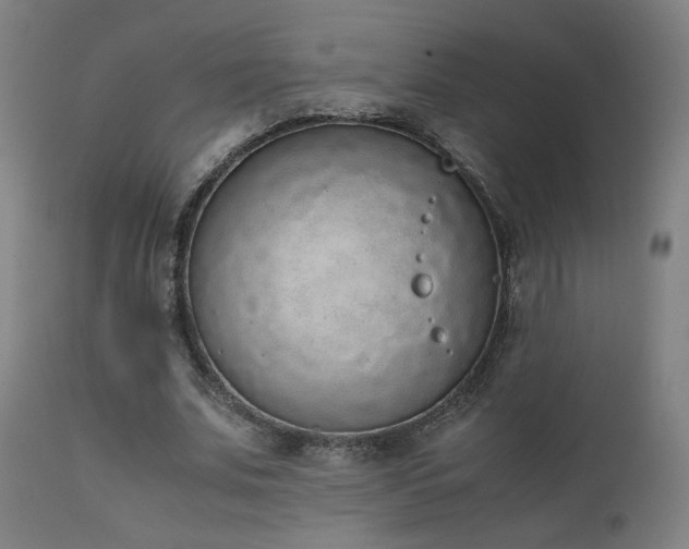X0000111650679200907171546