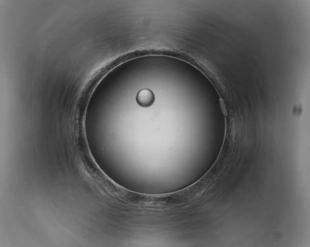 X0000111650680200907171546