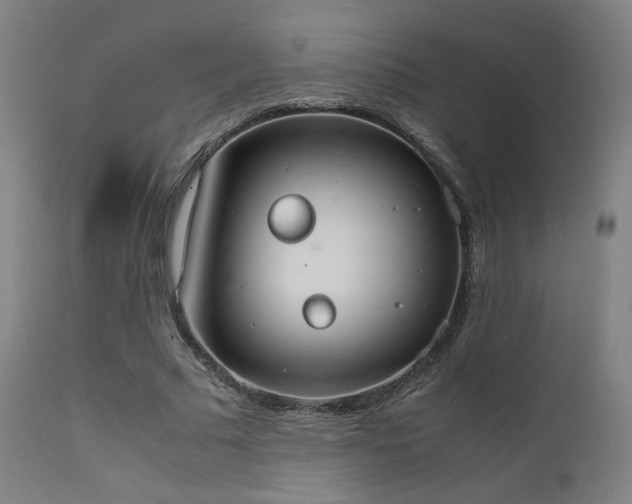 X0000111650681200907171546