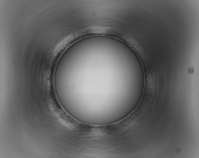 X0000111650682200907171546