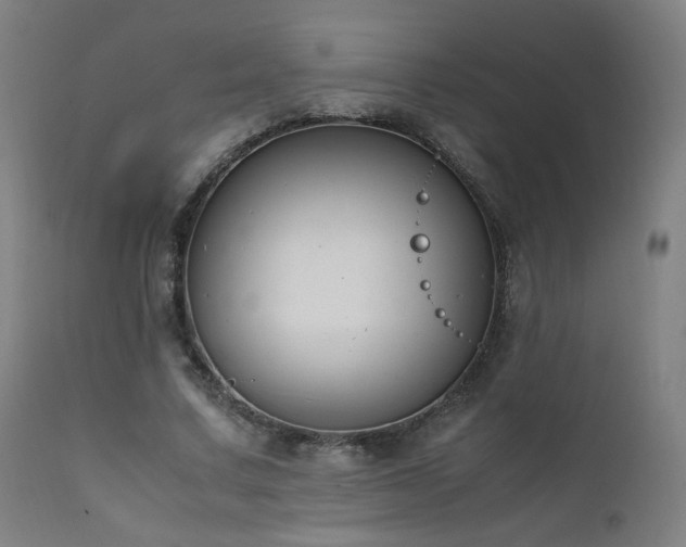 X0000111650683200907171546