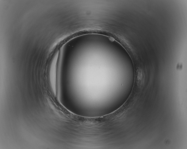 X0000111650684200907171546