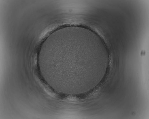 X0000111650685200907171546