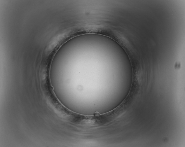 X0000111650687200907171546