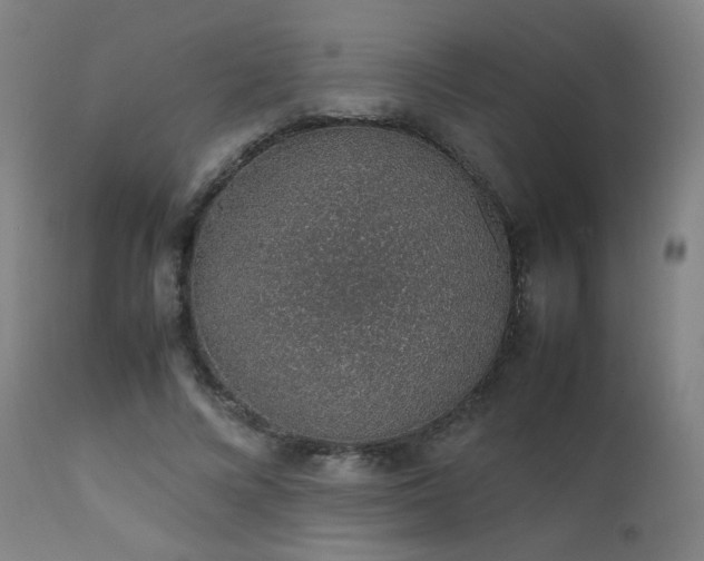 X0000111650688200907171546