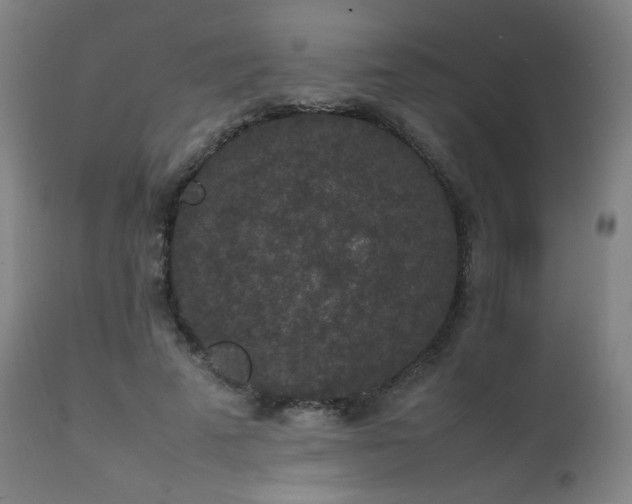 X0000111650689200907171546