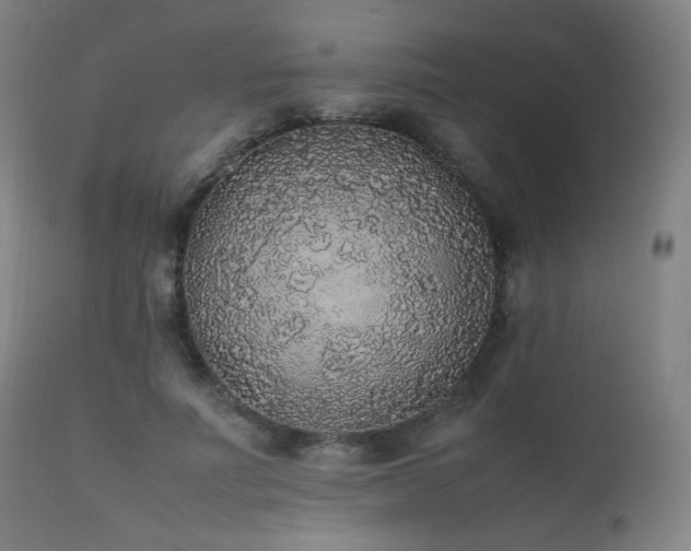X0000111650691200907171546
