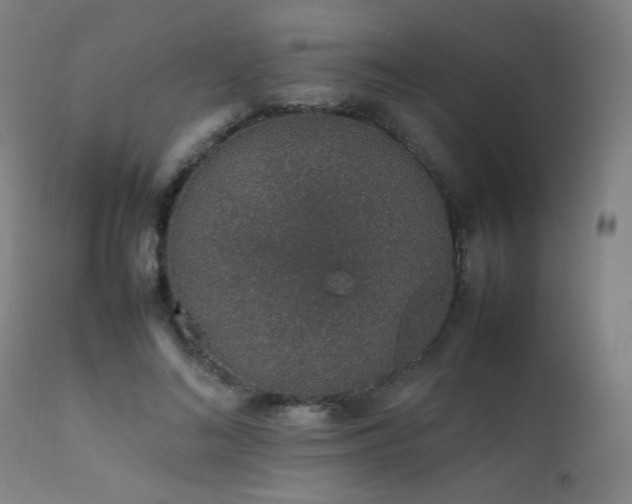 X0000111650692200907171546