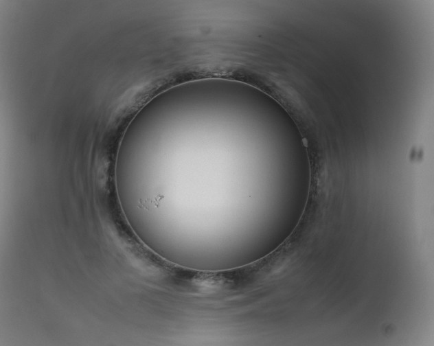 X0000111650693200907171546